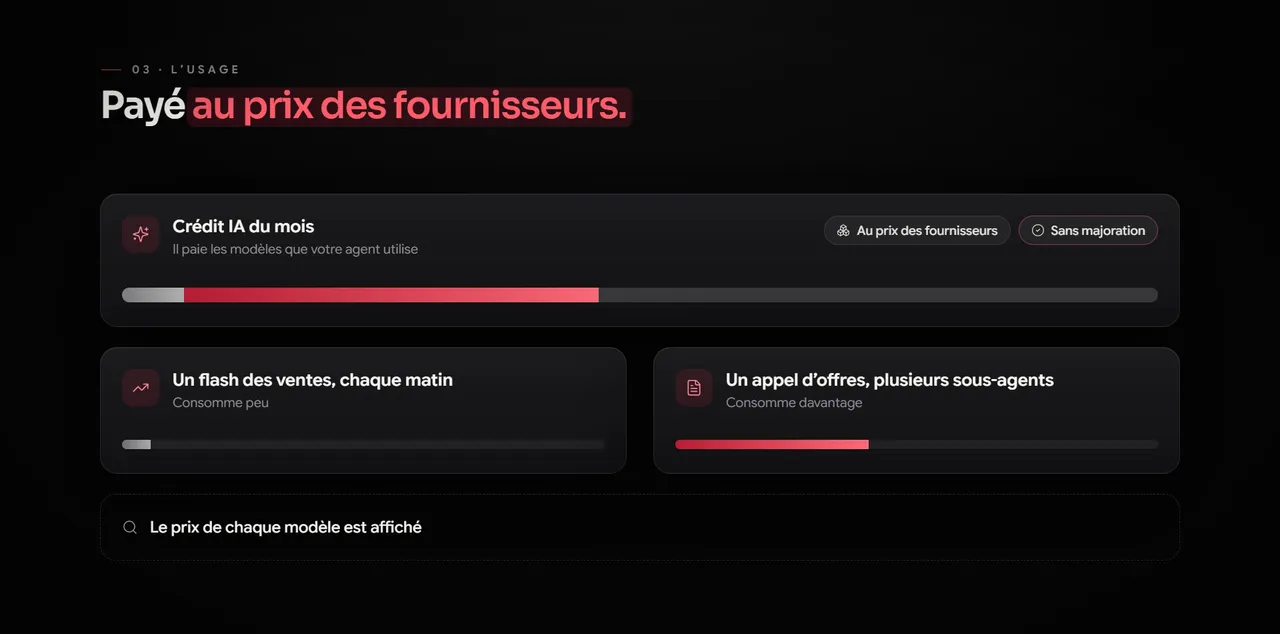 Le crédit IA du mois payé au prix des fournisseurs, sans majoration : un flash des ventes chaque matin consomme peu, un appel d'offres lu par plusieurs sous-agents davantage